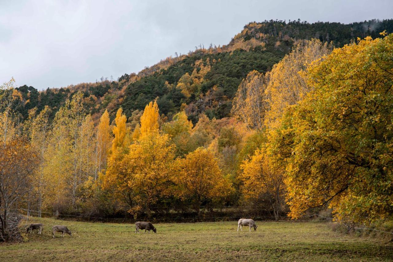 Casa Rural Besoli Areu Eksteriør billede